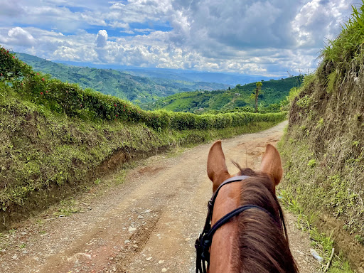 Foto del negocio en Google Maps · Rancho Saman Horseback Adventures
