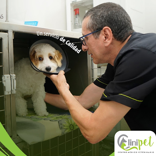 Foto del negocio en Google Maps · CLINIPET