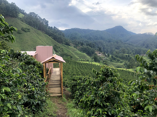 Foto del negocio en Google Maps · Senderito Cafetero