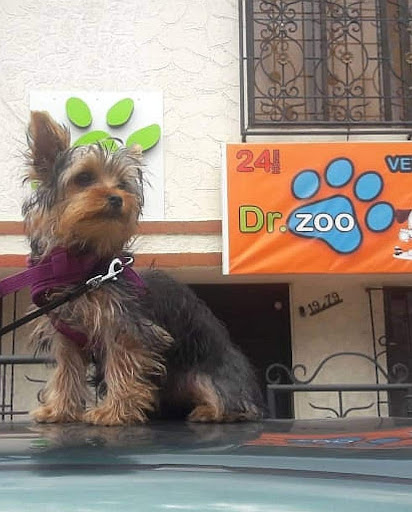 Foto del negocio en Google Maps · Dr. Zoo.