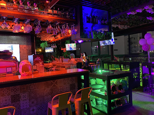 Foto del negocio en Google Maps · Amazonik rooftop