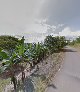 Foto del negocio en Google Maps · Yuabayo